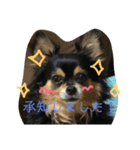 tocotocoriku（個別スタンプ：2）