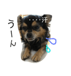 tocotocoriku（個別スタンプ：3）