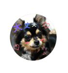 tocotocoriku（個別スタンプ：4）