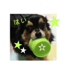 tocotocoriku（個別スタンプ：5）
