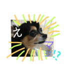 tocotocoriku（個別スタンプ：7）