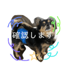 tocotocoriku（個別スタンプ：8）