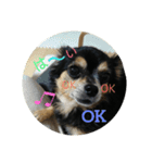 tocotocoriku（個別スタンプ：9）