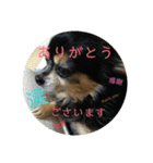 tocotocoriku（個別スタンプ：10）