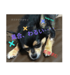 tocotocoriku（個別スタンプ：12）