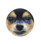 tocotocoriku（個別スタンプ：15）