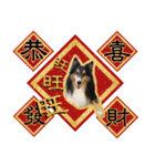 Cute sheltie4シェットランド シープドッグ（個別スタンプ：4）