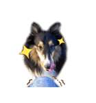 Cute sheltie4シェットランド シープドッグ（個別スタンプ：32）