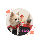 peco❤︎riru（個別スタンプ：2）