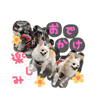 peco❤︎riru（個別スタンプ：7）