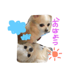 peco❤︎riru（個別スタンプ：9）