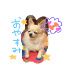 peco❤︎riru（個別スタンプ：10）