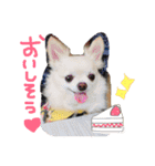 peco❤︎riru（個別スタンプ：11）