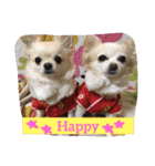 peco❤︎riru（個別スタンプ：20）