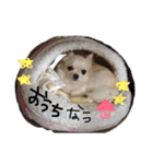 peco❤︎riru（個別スタンプ：21）