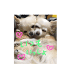 peco❤︎riru（個別スタンプ：23）
