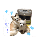 peco❤︎riru（個別スタンプ：24）
