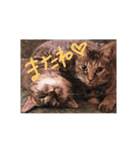 猫ちゃんくーちゃースタンプ（個別スタンプ：11）