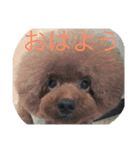 会長（くまお）とその仲間達（個別スタンプ：1）