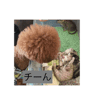 会長（くまお）とその仲間達（個別スタンプ：7）