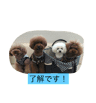 会長（くまお）とその仲間達（個別スタンプ：13）