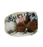 会長（くまお）とその仲間達（個別スタンプ：16）