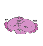 ぱーさん（個別スタンプ：4）