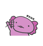 ぱーさん（個別スタンプ：16）