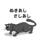 忍者＆猫（個別スタンプ：25）