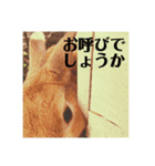 うさぎのルー（日常の言葉）（個別スタンプ：2）
