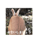 うさぎのルー（日常の言葉）（個別スタンプ：9）
