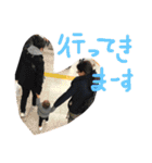 はると5（個別スタンプ：29）