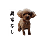 コタローの2（個別スタンプ：12）