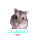 ハムスターの寿（個別スタンプ：2）