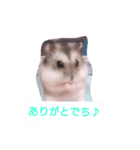 ハムスターの寿（個別スタンプ：7）