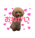 もも stamp（個別スタンプ：2）
