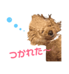 もも stamp（個別スタンプ：5）