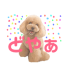 もも stamp（個別スタンプ：7）
