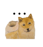 水彩画わんこの世界2（個別スタンプ：4）