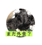 オトタロキャビ（個別スタンプ：17）