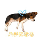 キャビア♥️（個別スタンプ：2）