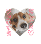 キャビア♥️（個別スタンプ：4）