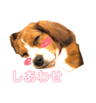 キャビア♥️（個別スタンプ：16）