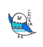 インコちゃんと基本挨拶（個別スタンプ：1）