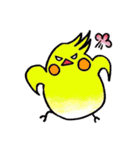 インコちゃんと基本挨拶（個別スタンプ：3）