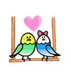 インコちゃんと基本挨拶（個別スタンプ：6）