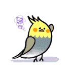 インコちゃんと基本挨拶（個別スタンプ：14）