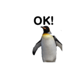 お返事ペンギン（個別スタンプ：8）