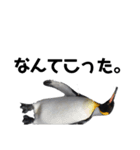 お返事ペンギン（個別スタンプ：10）