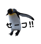 お返事ペンギン（個別スタンプ：12）